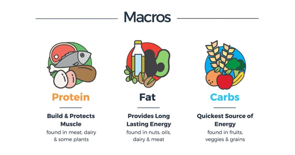 Balancing Macros Fat and Protein