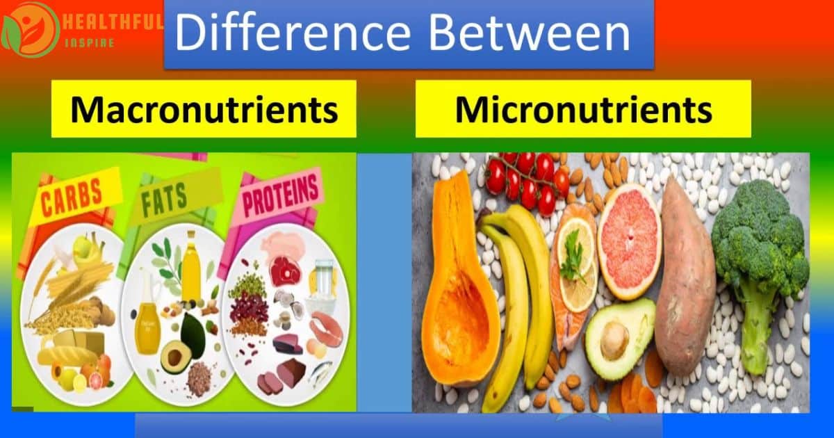 understanding-macronutrients-and-micronutrients