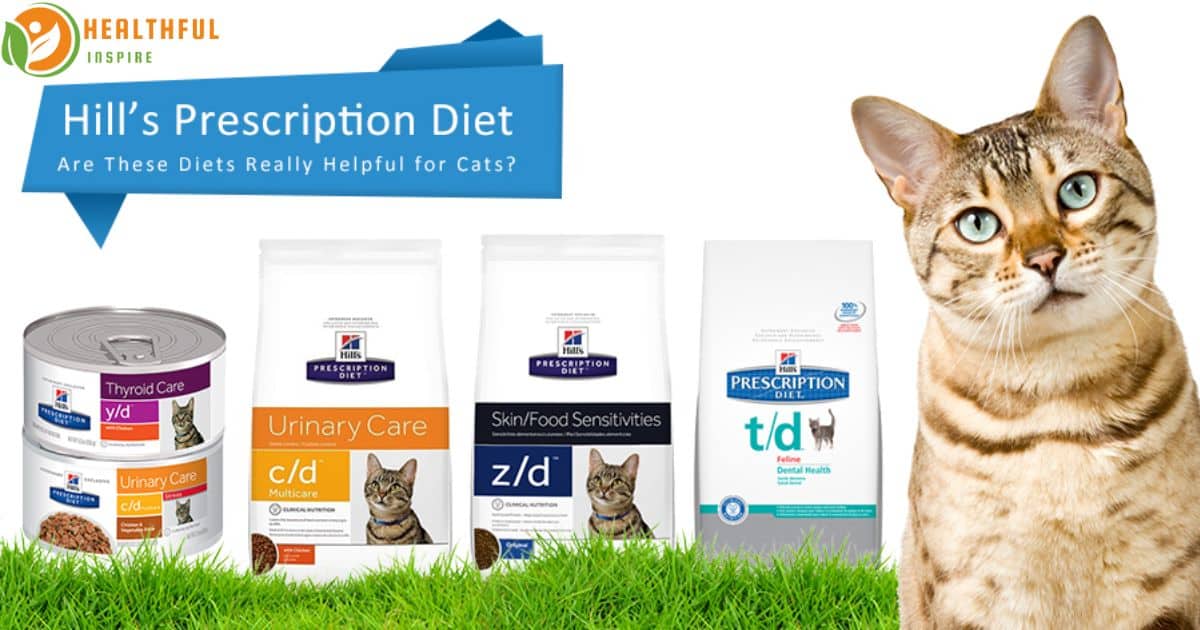 Where Can I Buy Hill's Prescription Diet Cat Food?