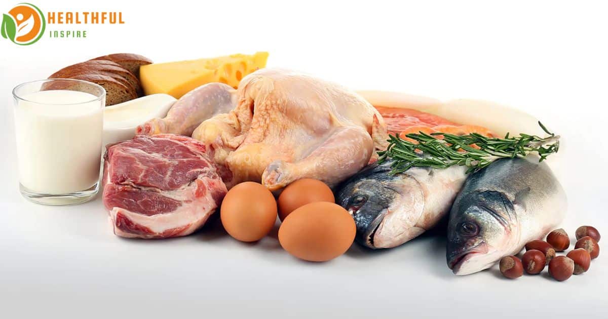 Which of the Following Statements About High-Protein Diets Is Correct