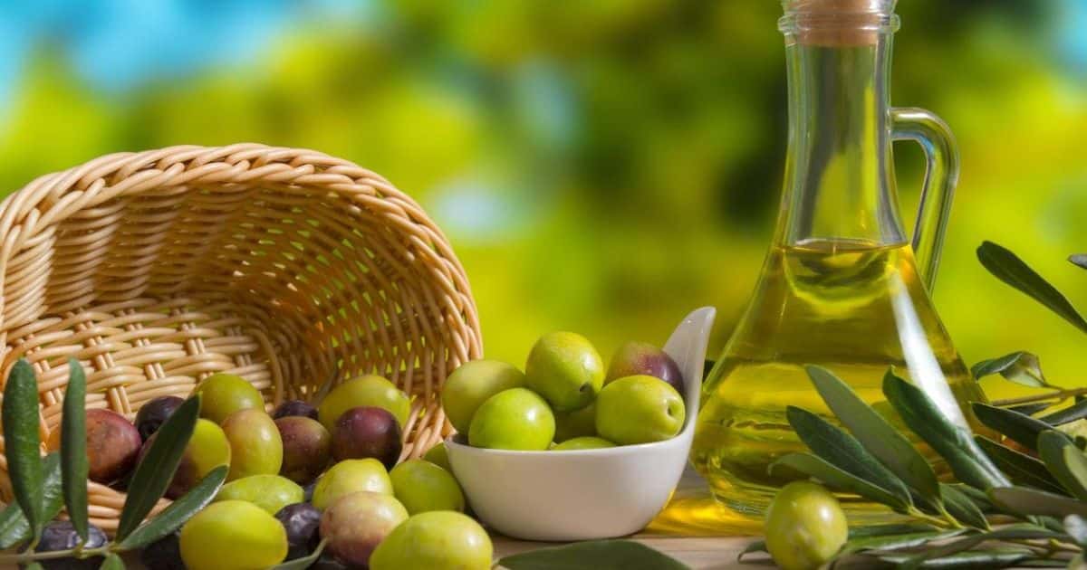 Olive Oil and Its Role in the Mediterranean Diet