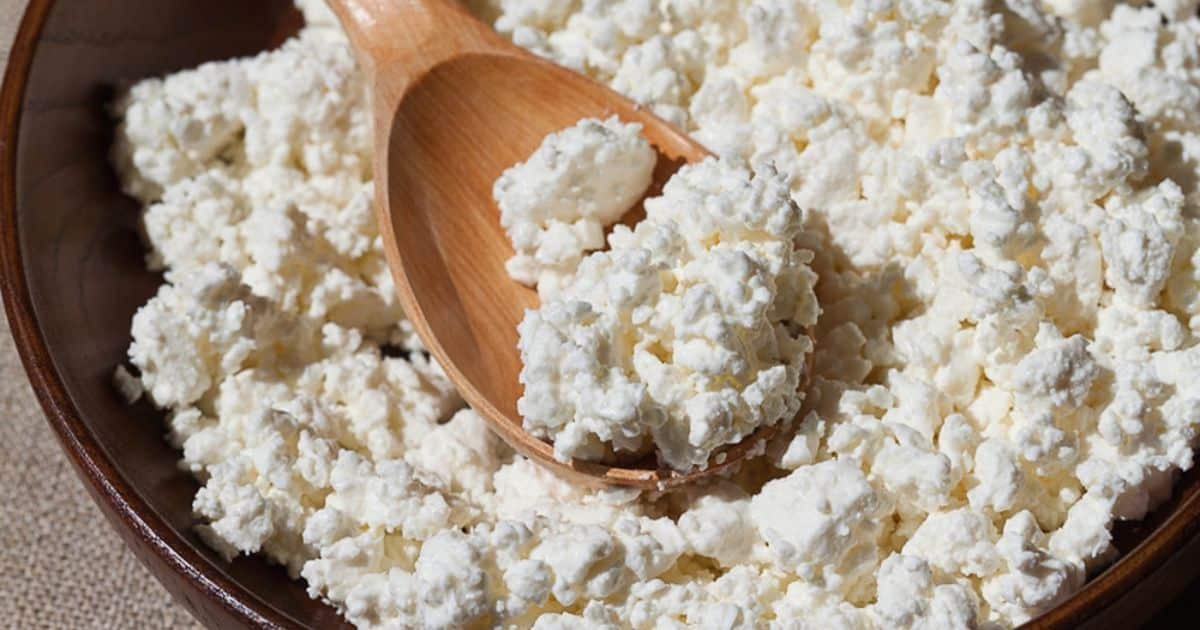 The Science Behind Cottage Cheese and Weight Loss